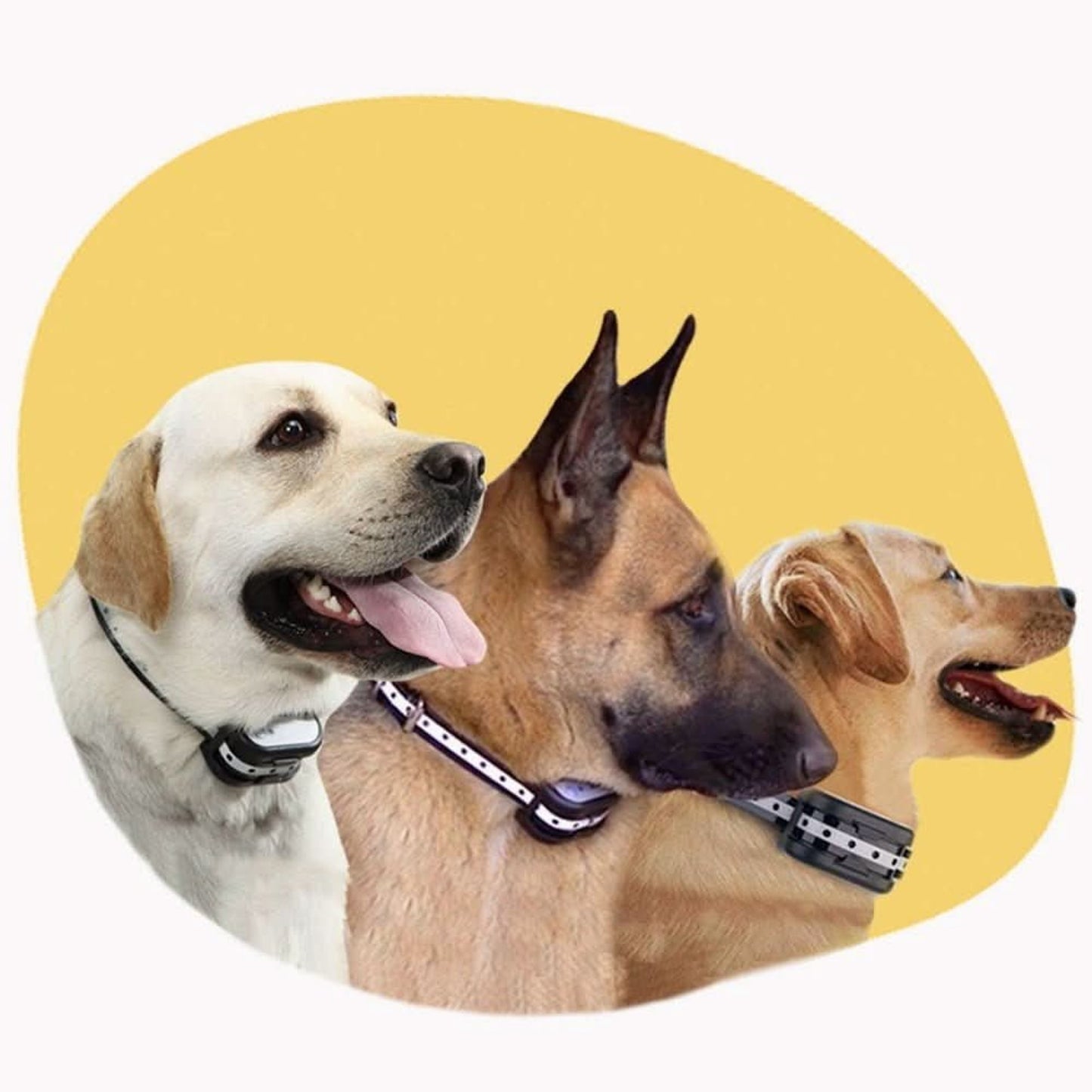 Wireless Dog Fence And Training System Plastic Base Station Waterproof Collars Red Display - Image 6