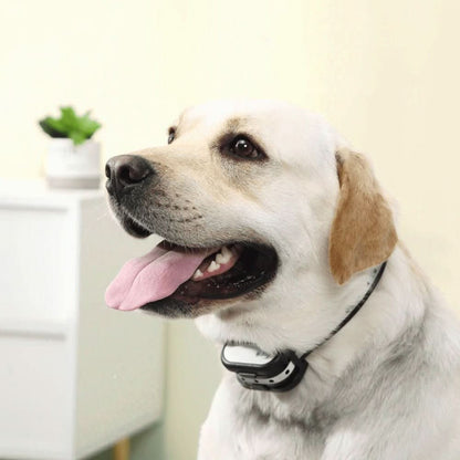 Wireless Dog Fence And Training System Plastic Base Station Waterproof Collars Red Display - Image 7